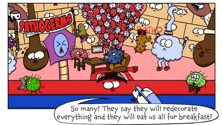 17